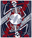 Dead & Company Poster Camden NJ 2016